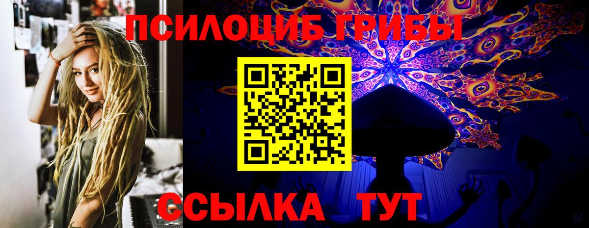 Псилоцибиновые грибы мухоморы Усть-Илимск